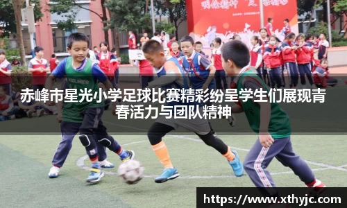 tyc9728太阳成集团官网